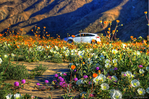 image.jpg (439.64 КБ) 11663 просмотра image.jpg