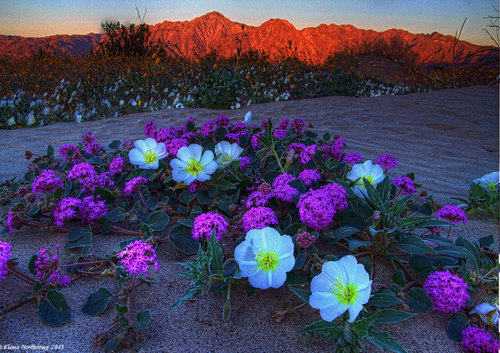 iпустыня.jpg (2.02 МБ) 11663 просмотра iпустыня.jpg