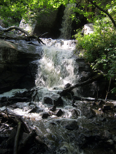 IMG_0616.JPG