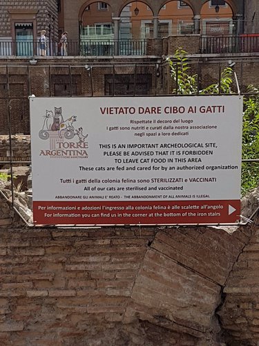 ^F7B35F6E18F7E104AD97726AB32363E1F3FE4FC4037E5D9974^pimgpsh_fullsize_distr.jpg (265.16 КБ) 2252 просмотра ^F7B35F6E18F7E104AD97726AB32363E1F3FE4FC4037E5D9974^pimgpsh_fullsize_distr.jpg