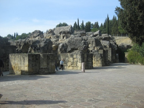 IMG_5316.JPG